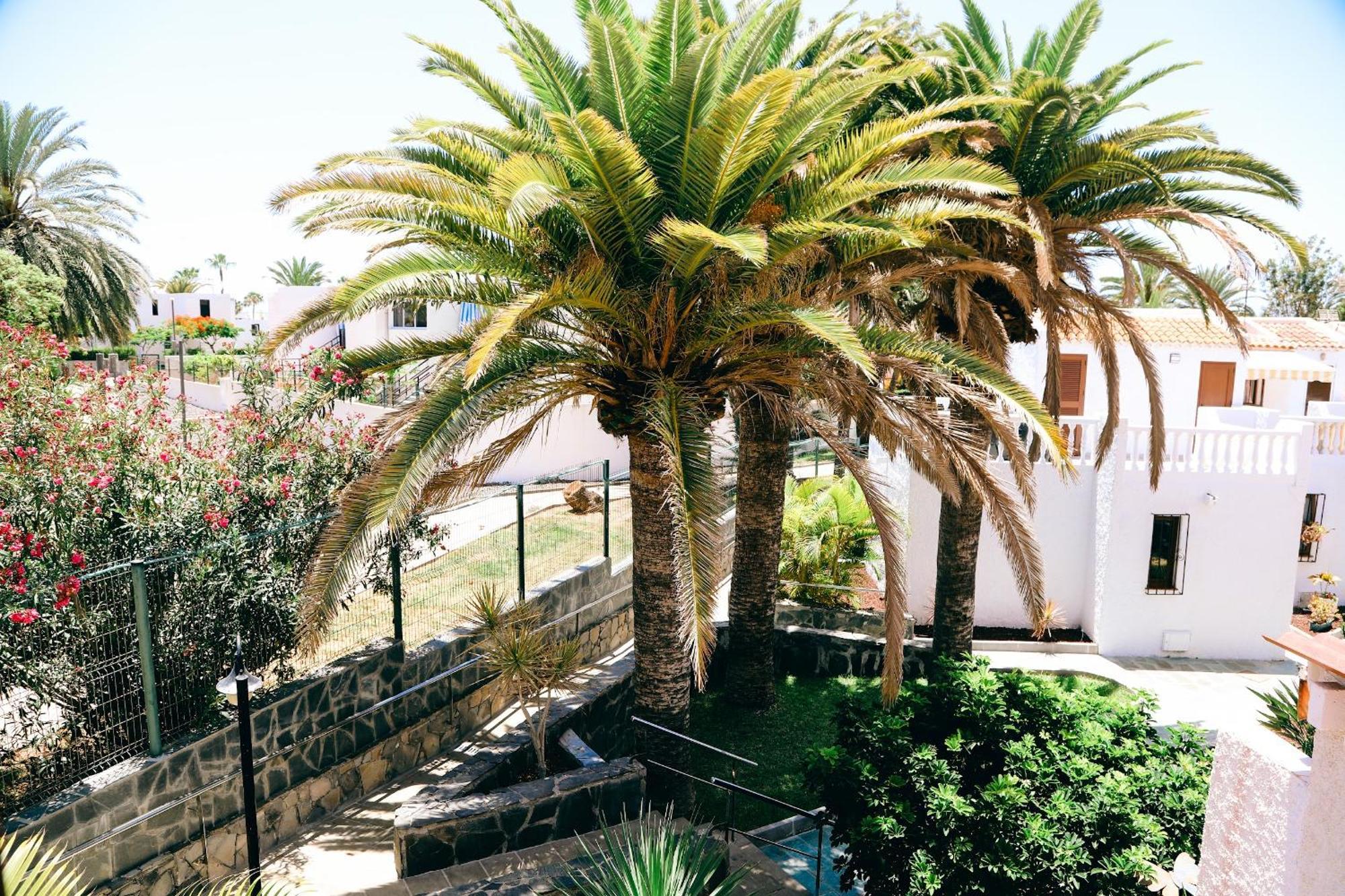 Ferienwohnung Virginia Playa de las Américas Exterior foto